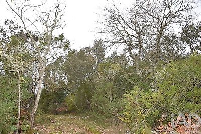 listing-picture-0
