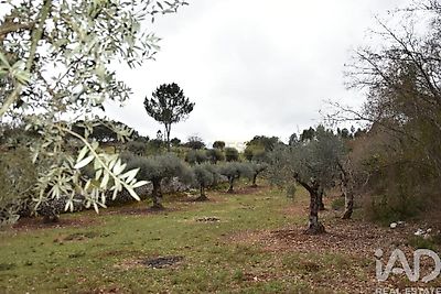 listing-picture-0
