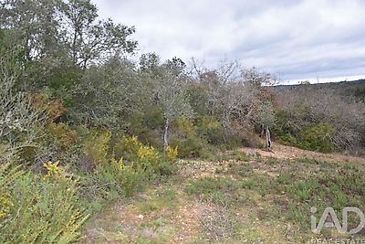 listing-picture-0