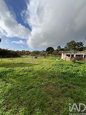 listing-picture-0