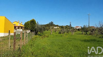 listing-picture-0