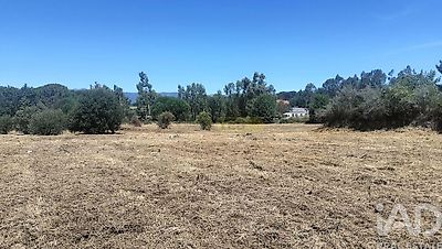 listing-picture-0