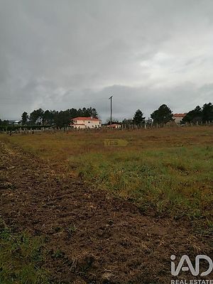 listing-picture-0