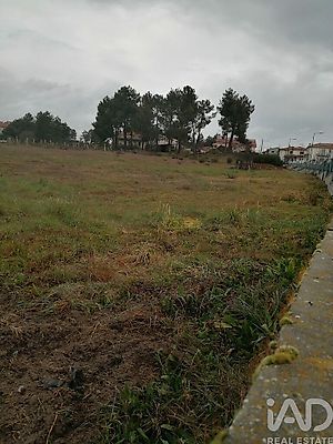 listing-picture-0