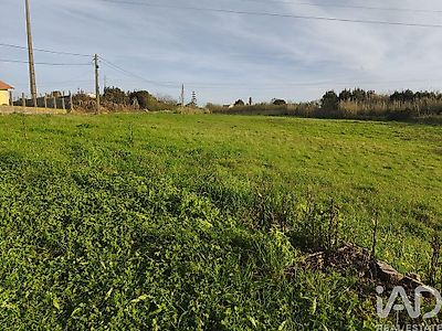 listing-picture-0