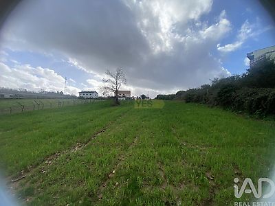 listing-picture-0