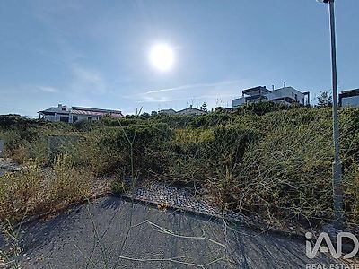 listing-picture-0