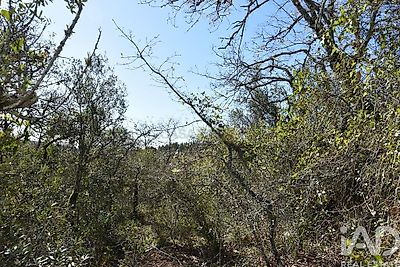 listing-picture-0
