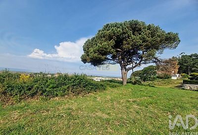 listing-picture-0