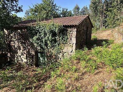 listing-picture-0