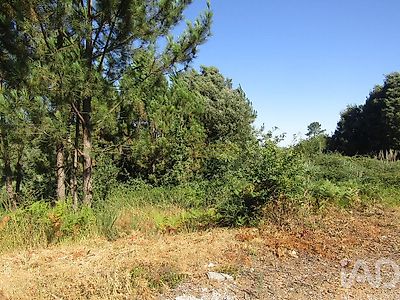 listing-picture-0