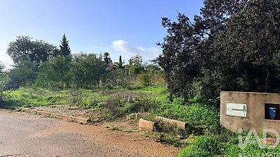 listing-picture-0