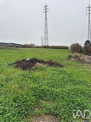 listing-picture-0