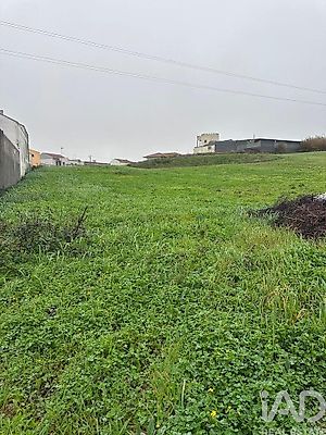 listing-picture-0