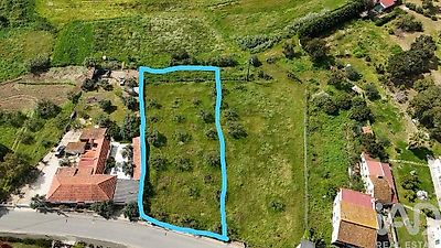 listing-picture-0