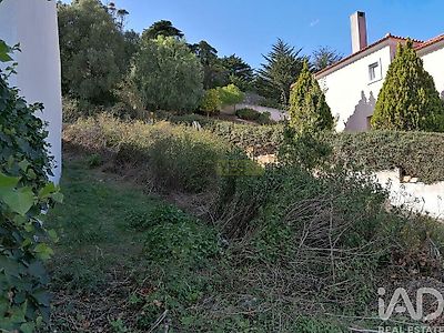listing-picture-0