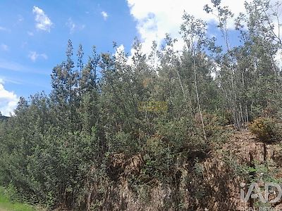 listing-picture-0