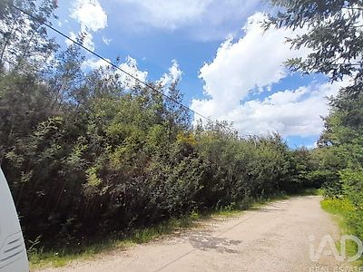 listing-picture-0