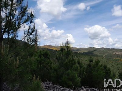 listing-picture-0