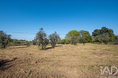 listing-picture-0