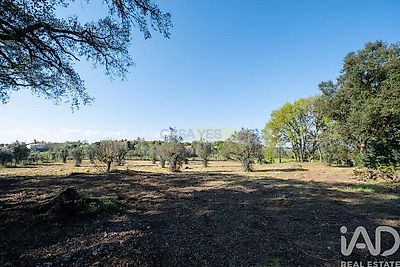 listing-picture-0