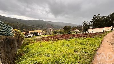 listing-picture-0