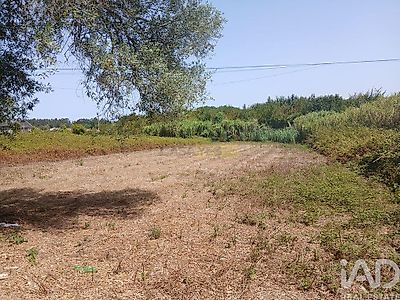 listing-picture-0