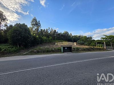 listing-picture-0