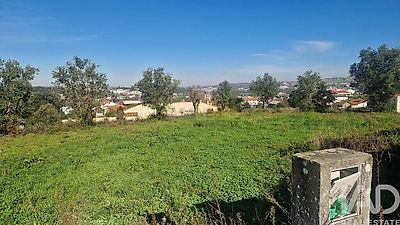 listing-picture-0