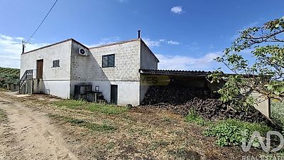 listing-picture-0