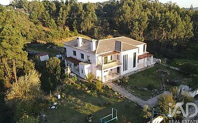 listing-picture-0