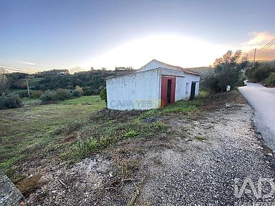 listing-picture-0