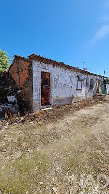 listing-picture-0