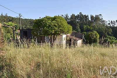 listing-picture-0
