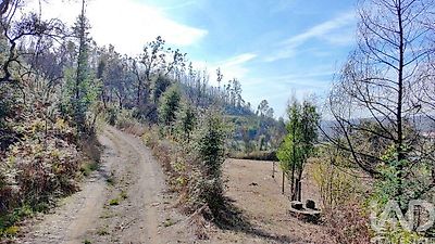 listing-picture-0