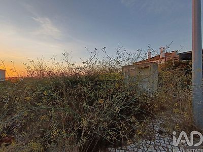 listing-picture-0