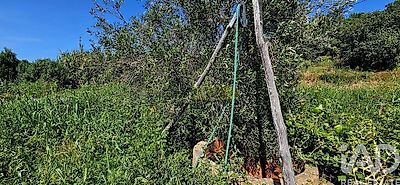 listing-picture-0