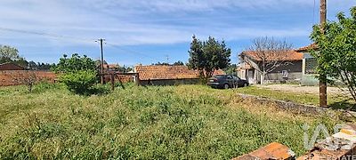 listing-picture-0