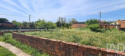 listing-picture-0