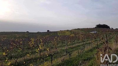 listing-picture-0