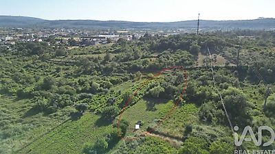 listing-picture-0