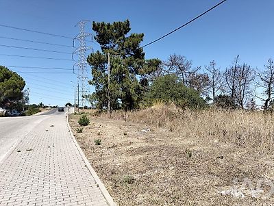 listing-picture-0