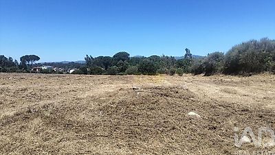 listing-picture-0