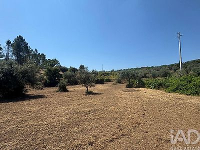 listing-picture-0