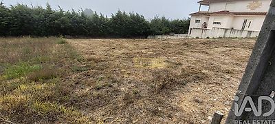 listing-picture-0