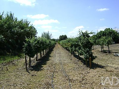 listing-picture-0
