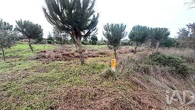 listing-picture-0