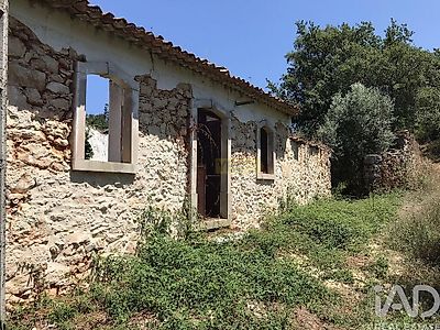 listing-picture-0