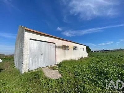 listing-picture-0