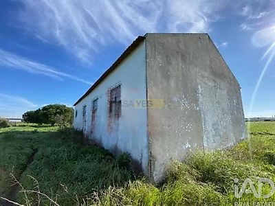 listing-picture-0